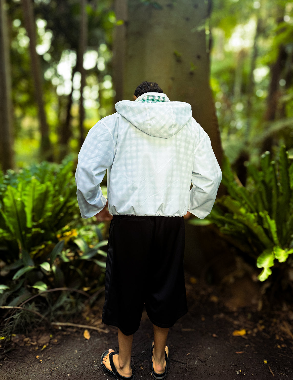 Glass Rain Jacket